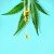 Как правилно да дозираме CBD продукт?