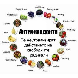 Антиоксиданти