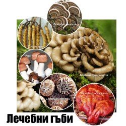 Гъби